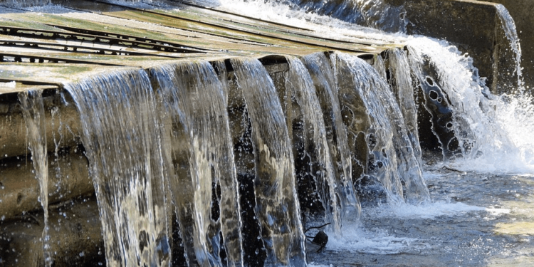 Mengkondisikan Poho Bahan agar Lekas Kliuu (2)