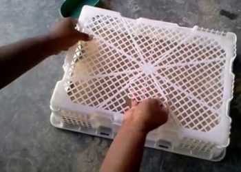 Packinglah dengan Benar agar Poho Tak Setres