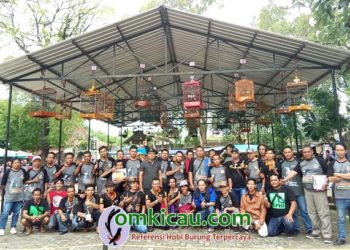 Event KPHI di PB Depok Solo, Bukti Penggemar Poho Masih Tinggi