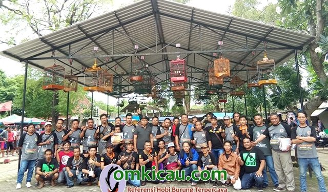 Event KPHI di PB Depok Solo, Bukti Penggemar Poho Masih Tinggi