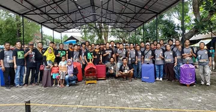 Gantangan Poho Mulai Menggeliat