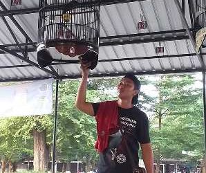 Poho Merasuk Jiwa Raga, I Love You