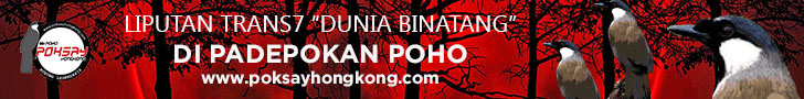Advertisement Banner